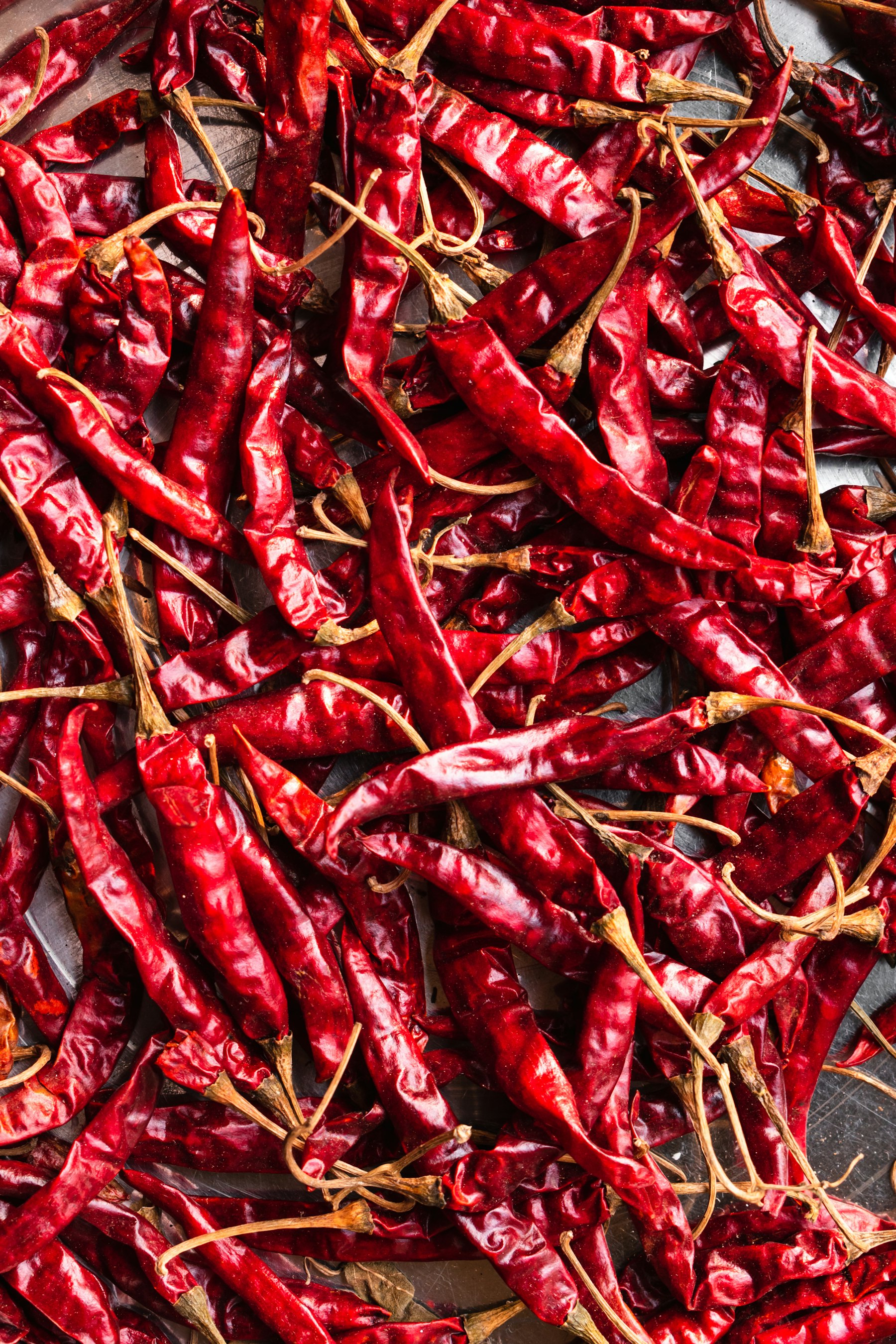 Dried red chillies