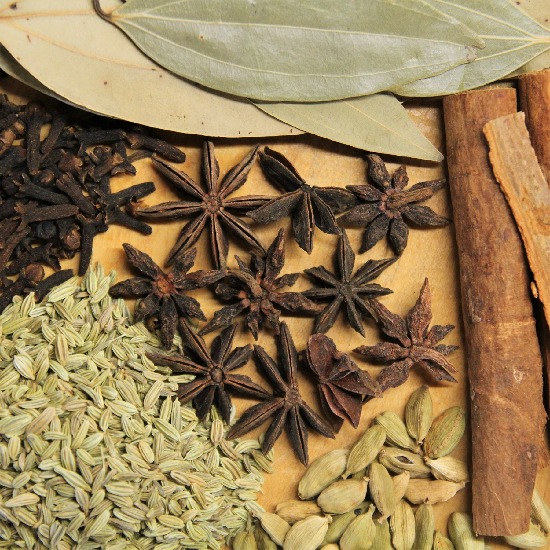 Whole spices — star anise, fennel, cardamom, cloves and cinnamon